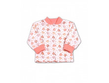 ���-37 �������.jpg