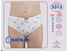 ����� 5313.png