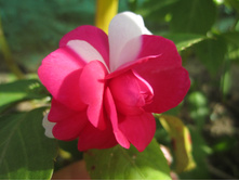 ���� 003.jpg