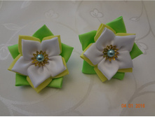 568fc9244f72c dsc04454.JPG