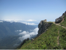 ���� 2014 679.jpg