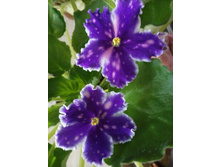 ���������2