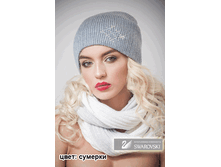 ����� �������� ������� 850