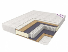 ������ ���������