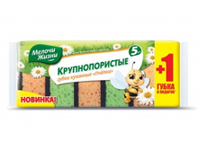 ����� �������� �������������� 5 �� -26 ���