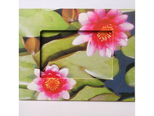 ��������� �������� 19572 199 ���.jpg