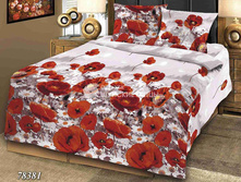 ������������ ����� 78381.jpg