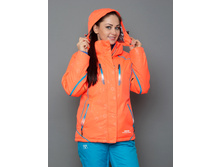 �-8006 ����������