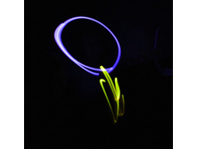 ������� ����� (������)