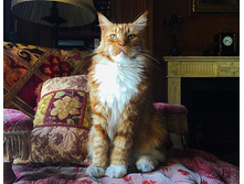 ��� - ���������!