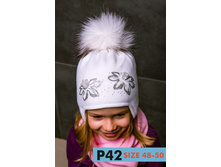 ����� ������� ���������� ISOSOFT � �/� ��������� (������) - P42 (isosoft), 460 ���.