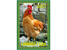 ��������� ������. �������. �� ������ ������ ����, 32-48 ��, 6 �., 2017 �. 87,84.jpg