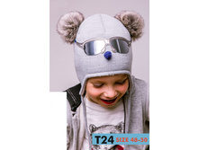 ����� ������� ���������� ISOSOFT � �/� ��������� (������) - T24 (isosoft), 450 ���.