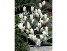 19,43���. ������� ������������(��� 10 ��. ���������� ������ 5��.).jpg