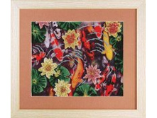 .�526 (36x29,5 ��)