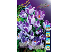 8,19���. ������ ���� �� ������(���������� ������ ������ ���������� �� 10 ��.).jpg