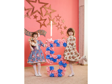 152691254-img 9163.jpg