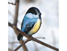 ������������ ����� � ���� ������� - ���������� � �������� ���������.