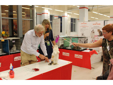 14311488 1102190423196343 2160507926852998389 o.jpg