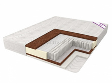 ������ ����