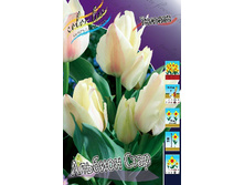 15,69���. ������� ������� ���� 10 ��.jpg