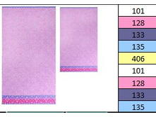 ��������� �������� ������:Ninfea