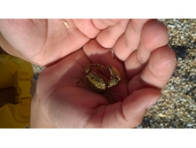 WP 20160909 16 19 51 Pro.jpg