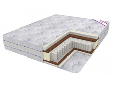 ������ ������