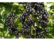 ��������� ��� ������������ �2-180�.jpg