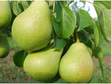 ����� �������������-160�.jpg