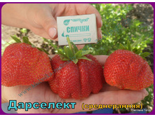 ��������� ��������� 35���. (�������� 1 ������).jpg