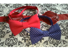 P 20160916 113347 BF 1.jpg