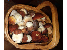 DSC04044.JPG