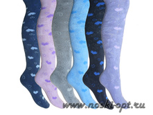 ������ ���������