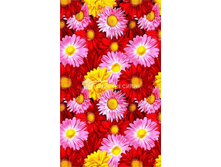 ��������� SPA 74741.png