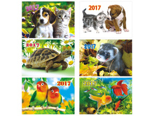 ��������� ��������� �������� �������, �������, 2017 �. 1,33.jpg