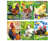 ��������� ��������� ������ ����, �������, 2017 �. 1,33.jpg