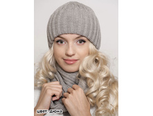 ����� ������ ���� 410