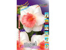 51,98���. ������� ����!(�������� ���� �� 5 ��., ����������� ����� 1��.).jpg