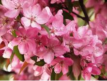 ������ ��� ���������� 5-6���-1000�.jpg