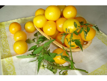 ����� ������� - 6,20 ���. - 0,2 ��.jpg