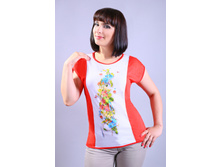 �-810 ��������