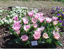 ������� ������  13,5 ���. �� 1 ��. ����� ����������� ������ 5 ��. (�.�. 5,10,15,20 � �.�.) ��� ������������ ������. ������� ����� ��� ���� � ��������.jpg