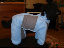 ������ � �������.jpg