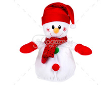 ������ ���������