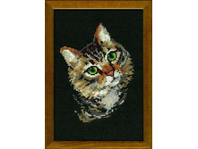 766 "����� �����"