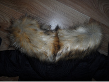 � ����.����