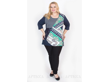 ������ V348.1