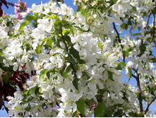 ������ ��� ����� ����� 5-6���-1000�.jpg