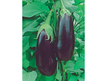 �������� ������� 5,7 ����. - 0,2 ��..jpg